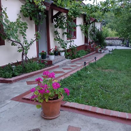 Casa Dragoi Din Socolari, Caras - Severin Kültér fotó