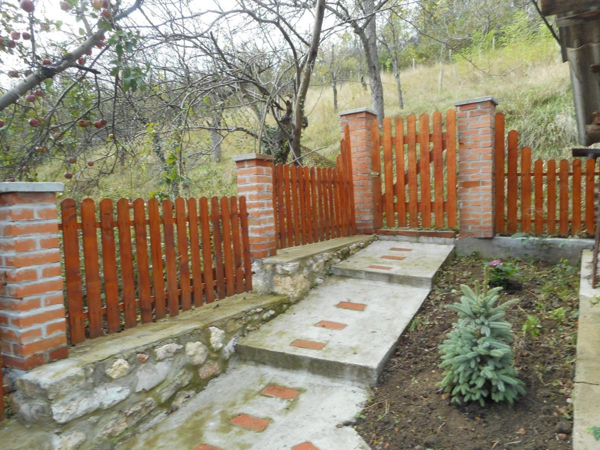 Casa Dragoi Din Socolari, Caras - Severin Kültér fotó