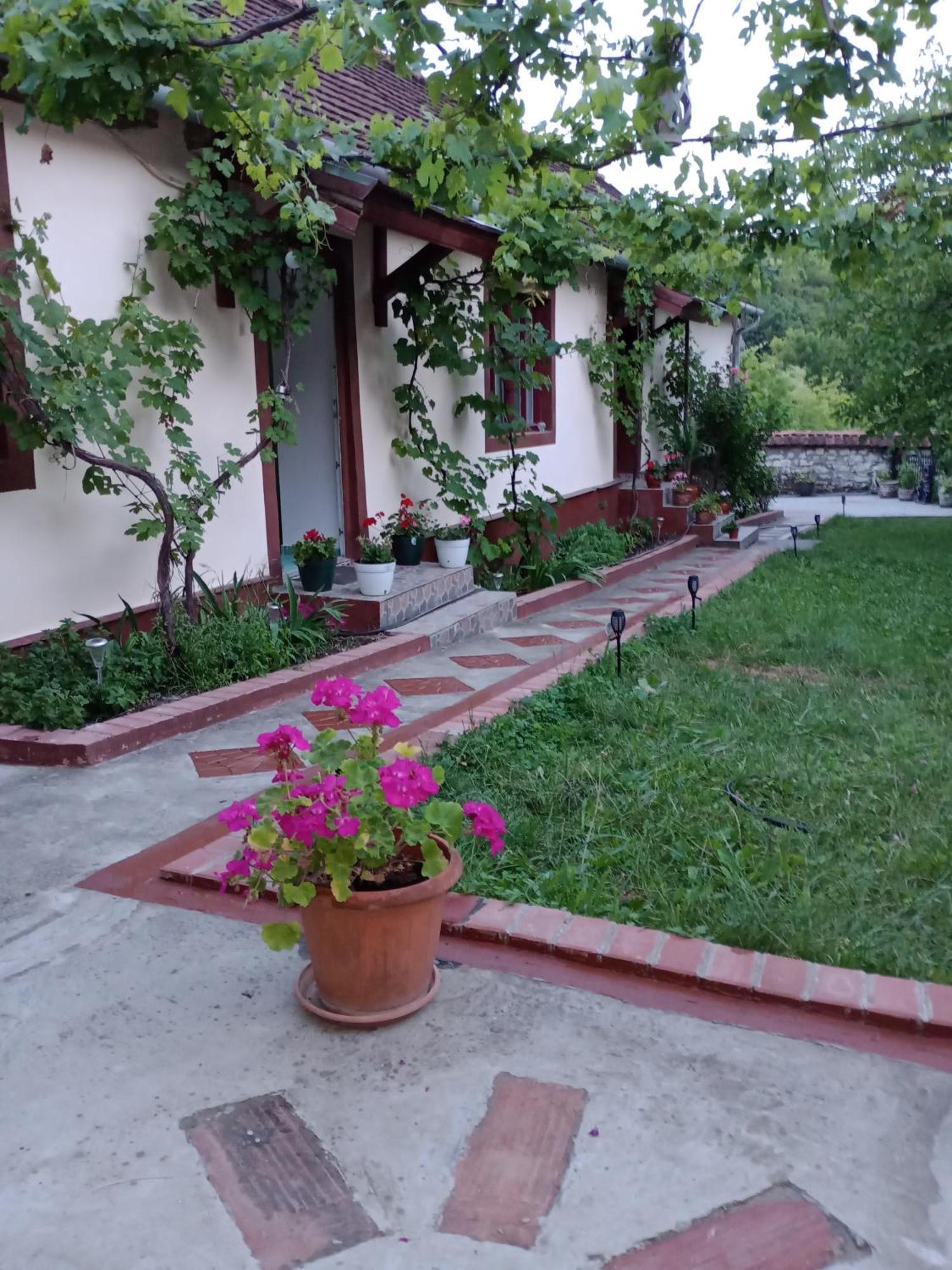Casa Dragoi Din Socolari, Caras - Severin Kültér fotó